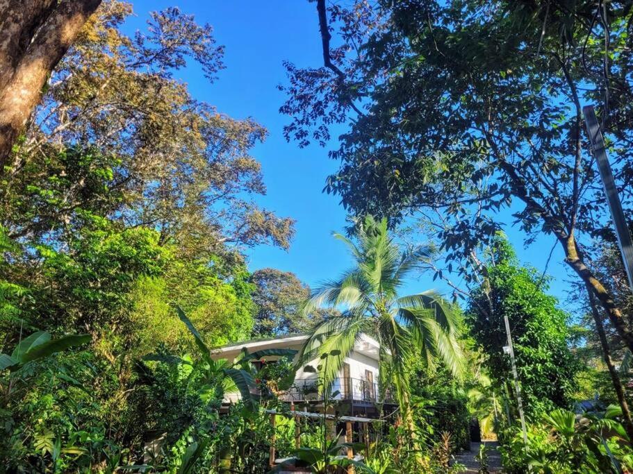 Villa Luba House Puerto Jiménez Camera foto